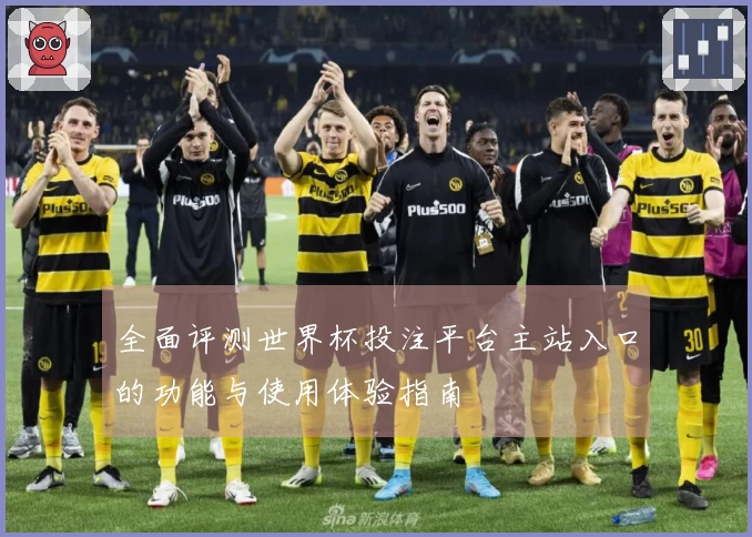 全面评测世界杯投注平台主站入口的功能与使用体验指南