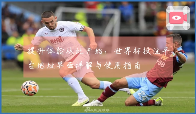 提升体验从此开始，世界杯投注平台地址界面详解与使用指南