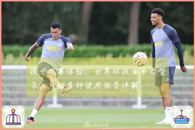 提升观赛体验：世界杯投注平台登录入口的多种使用场景详解