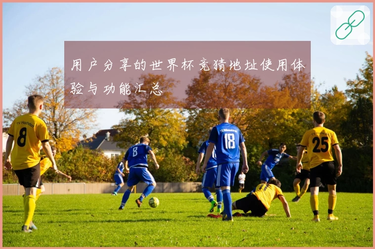 用户分享的世界杯竞猜地址使用体验与功能汇总