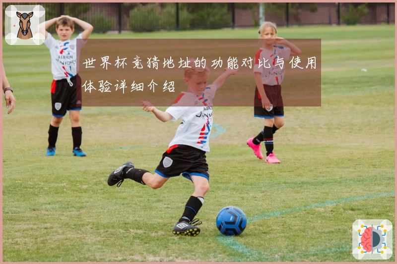 世界杯竞猜地址的功能对比与使用体验详细介绍